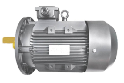 南陽(yáng)防爆電機(jī)在石油化工行業(yè)的應(yīng)用成功案例分析