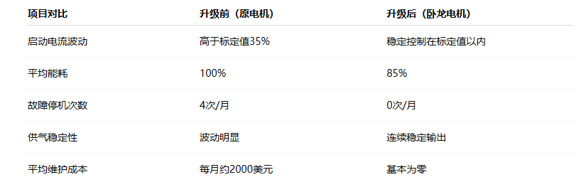 印度空壓機(jī)工廠(chǎng)升級(jí)臥龍電機(jī)后能耗降低15% 運(yùn)行更加穩(wěn)定
